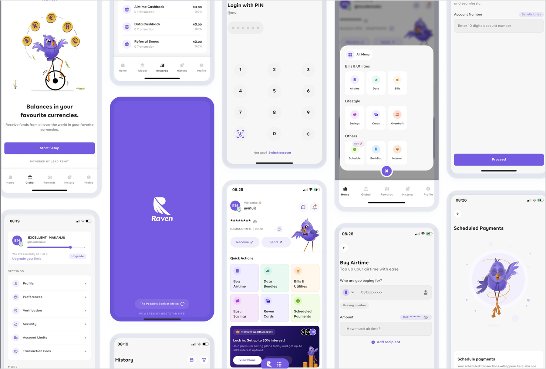 Raven Pay original screens before the redesign